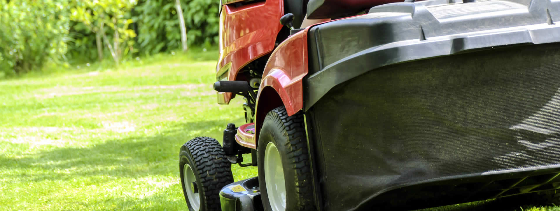 Gartenpflege von Experten